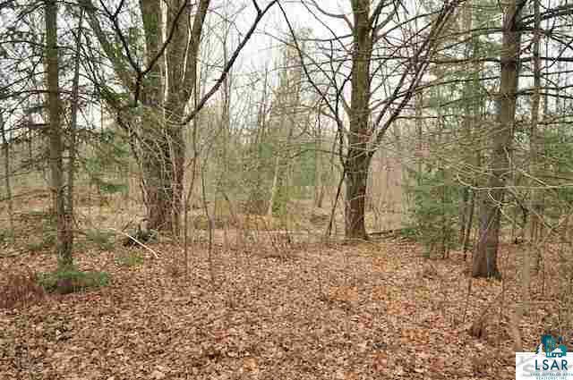 37007 North York Road High Bridge, WI 54846 - Photo 15 of 19