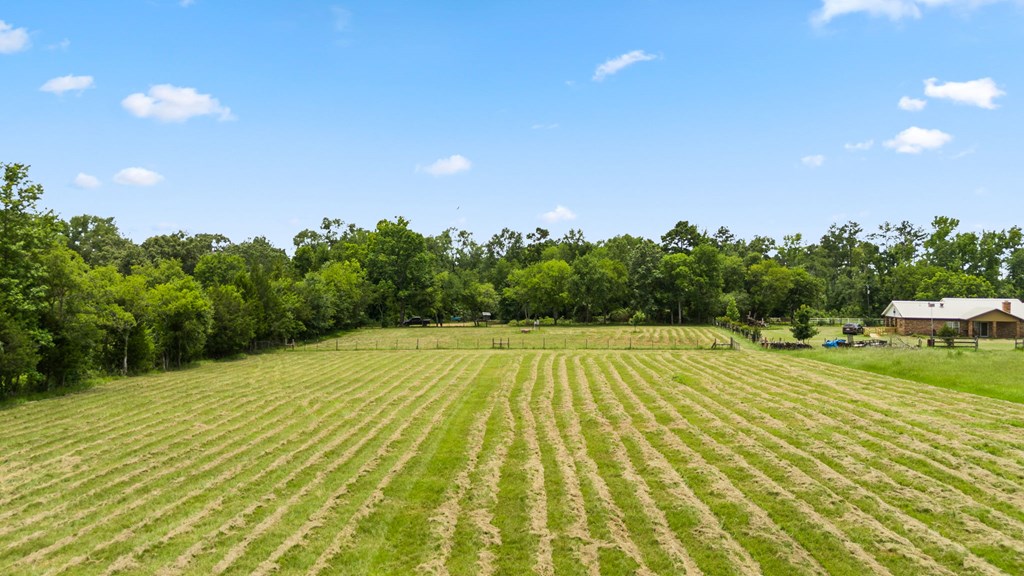 0 Fm 1211 Rusk, TX 75785 - Photo 11 of 14