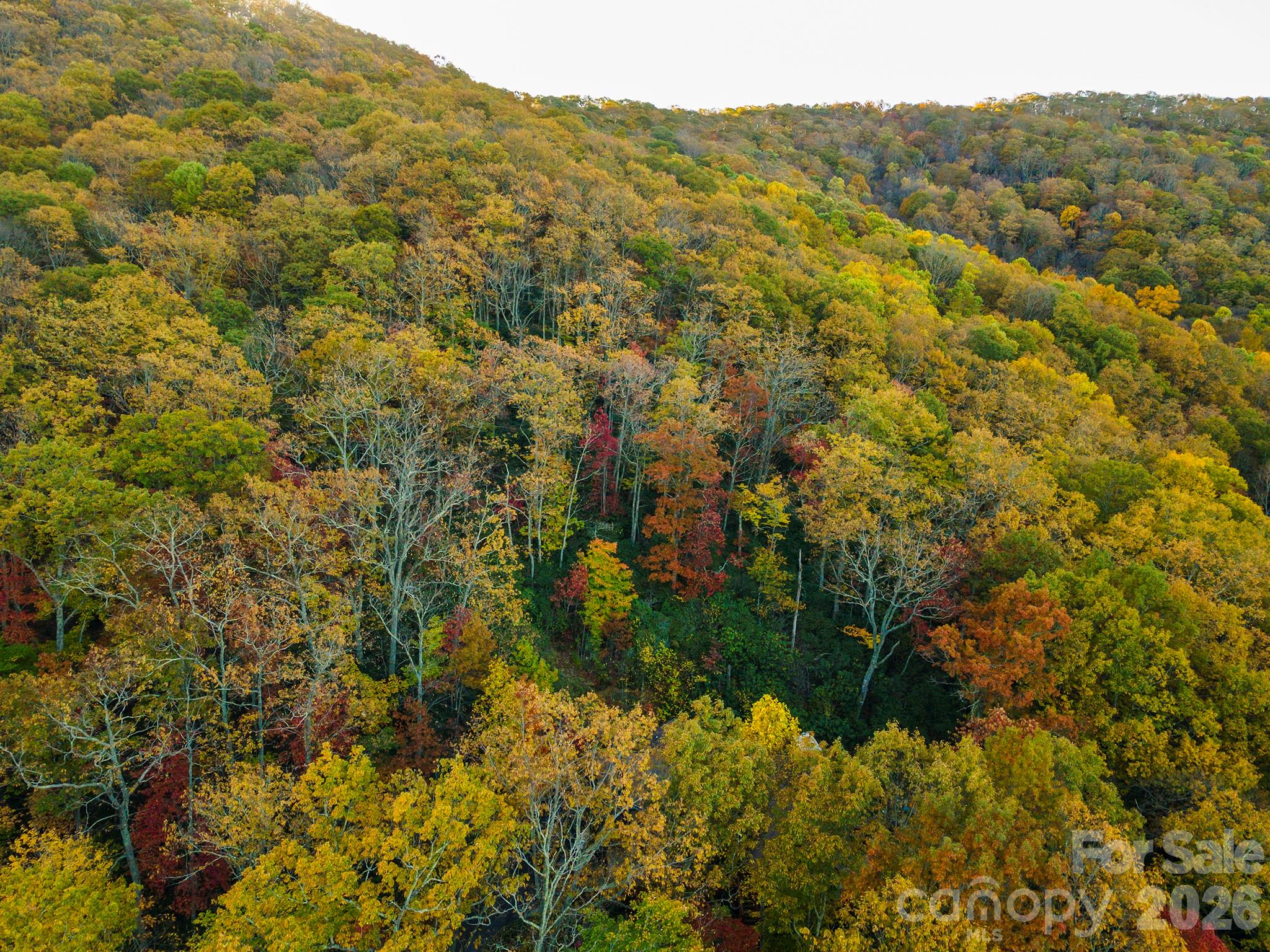 Tbd Summer Haven Road, Unit 16 Swannanoa, NC 28778 - Photo 31 of 45