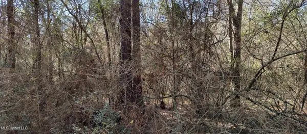 $2,500 | No Pecan Drive, Lumberton, MS 39455