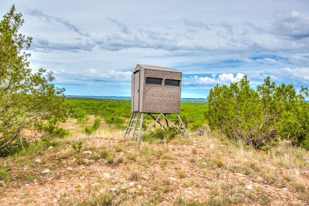 583 Cox Road Robert Lee, TX 76945 - Photo 62 of 73 Photo 62