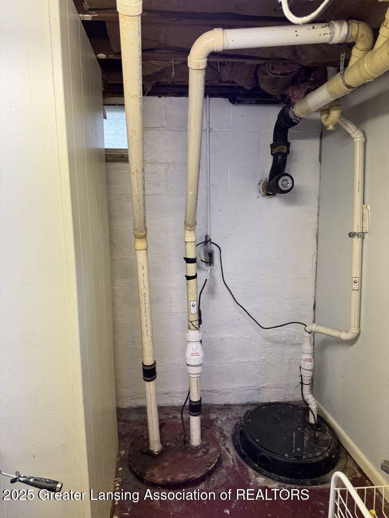 1568 Haslett Road East Lansing, MI 48823 - Photo 32 of 41 Sump Pump