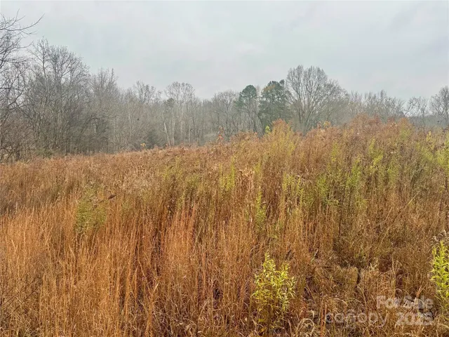 $199,000 | Lot 1 Mallory Lane, Unit 1B, Mount Pleasant, NC 28124