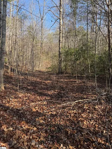 $30,690 | 24 Windswept Lane, Travelers Rest, SC 29690