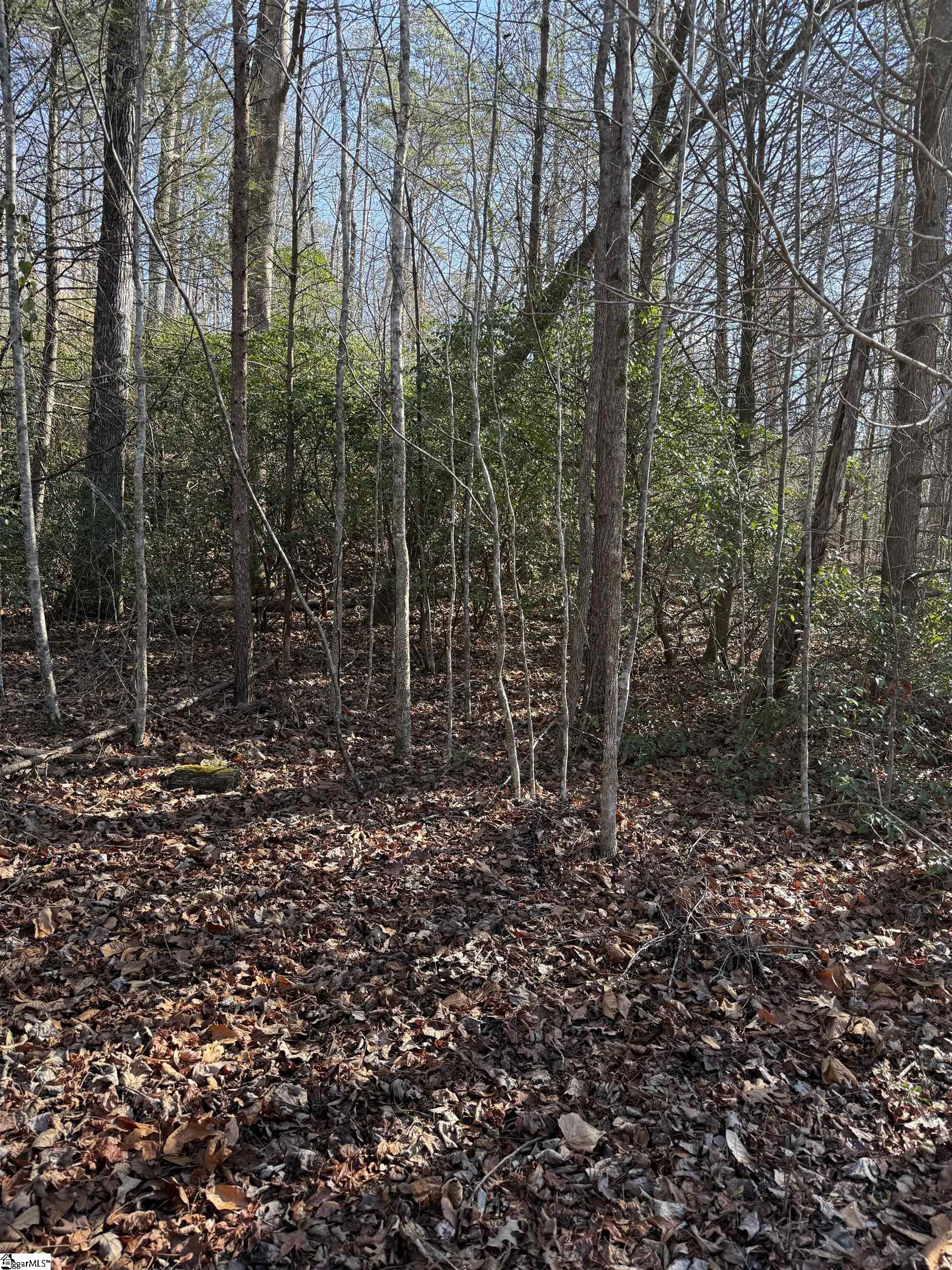 24 Windswept Lane Travelers Rest, SC 29690 - Photo 7 of 9