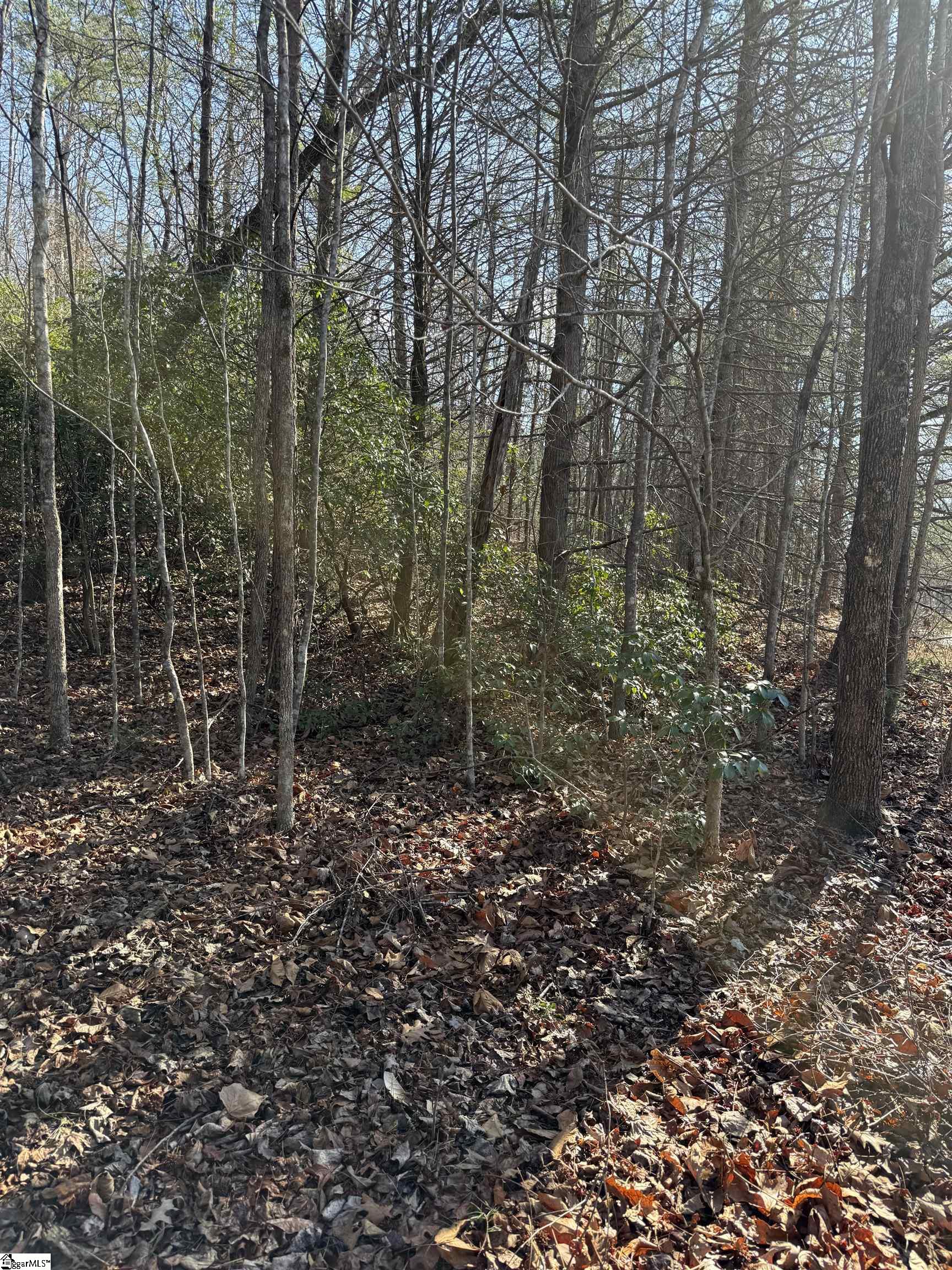 24 Windswept Lane Travelers Rest, SC 29690 - Photo 8 of 9