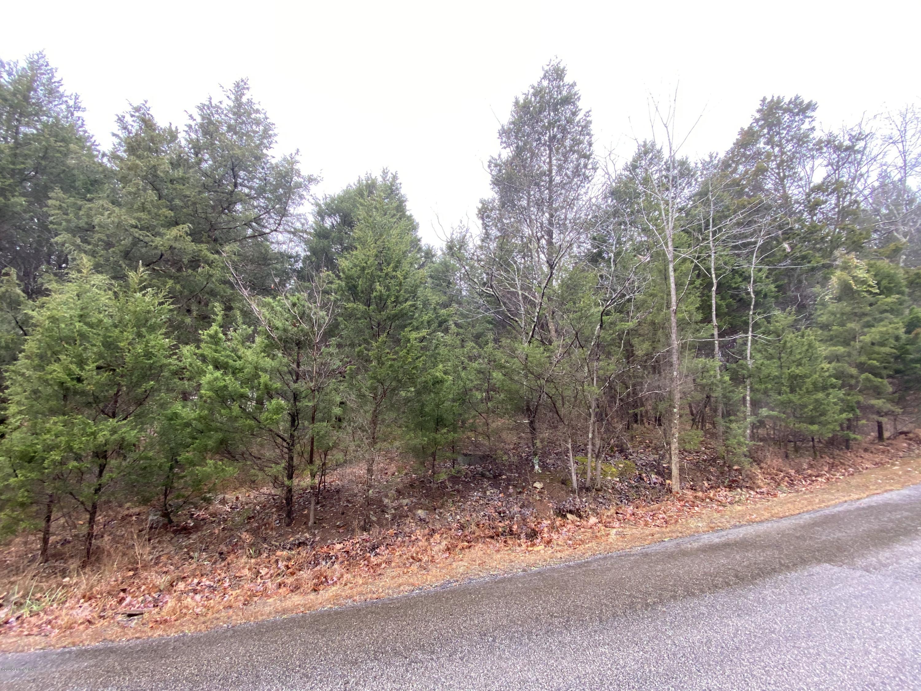 Lot 106 Waxwing Road Brandenburg, KY 40108 - Photo 1 of 1 Lot