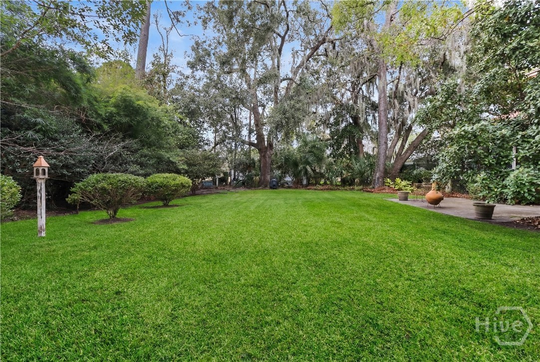 41 Grimball Point Road Savannah, GA 31406 - Photo 46 of 53 Backyard - Grass Virtually Enhanced