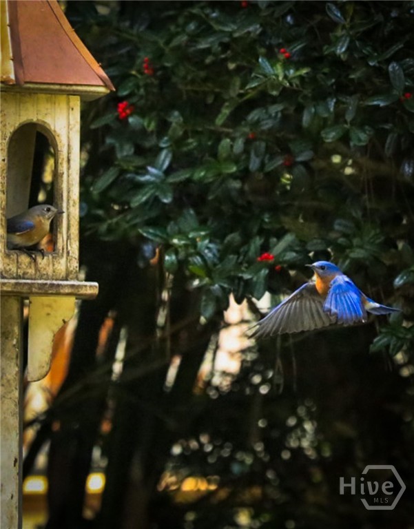 41 Grimball Point Road Savannah, GA 31406 - Photo 47 of 53