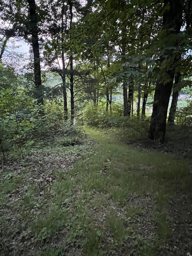 152 Ramblewood Road Chilhowie, VA 24319 - Photo 34 of 36 Gallery Image 34