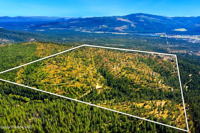 $299,000 | Nna Nna Stone Road, Blanchard, ID 83804