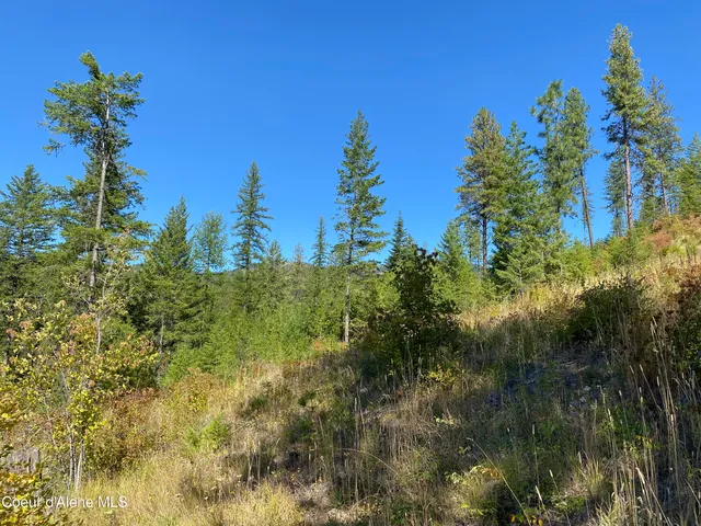 $299,000 | Nna Nna Stone Road, Blanchard, ID 83804