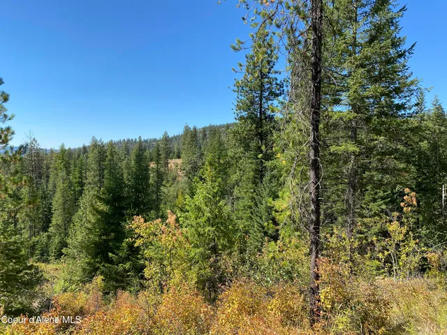 $299,000 | Nna Nna Stone Road, Blanchard, ID 83804