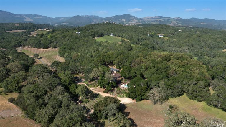 a view of a forest with a mountain