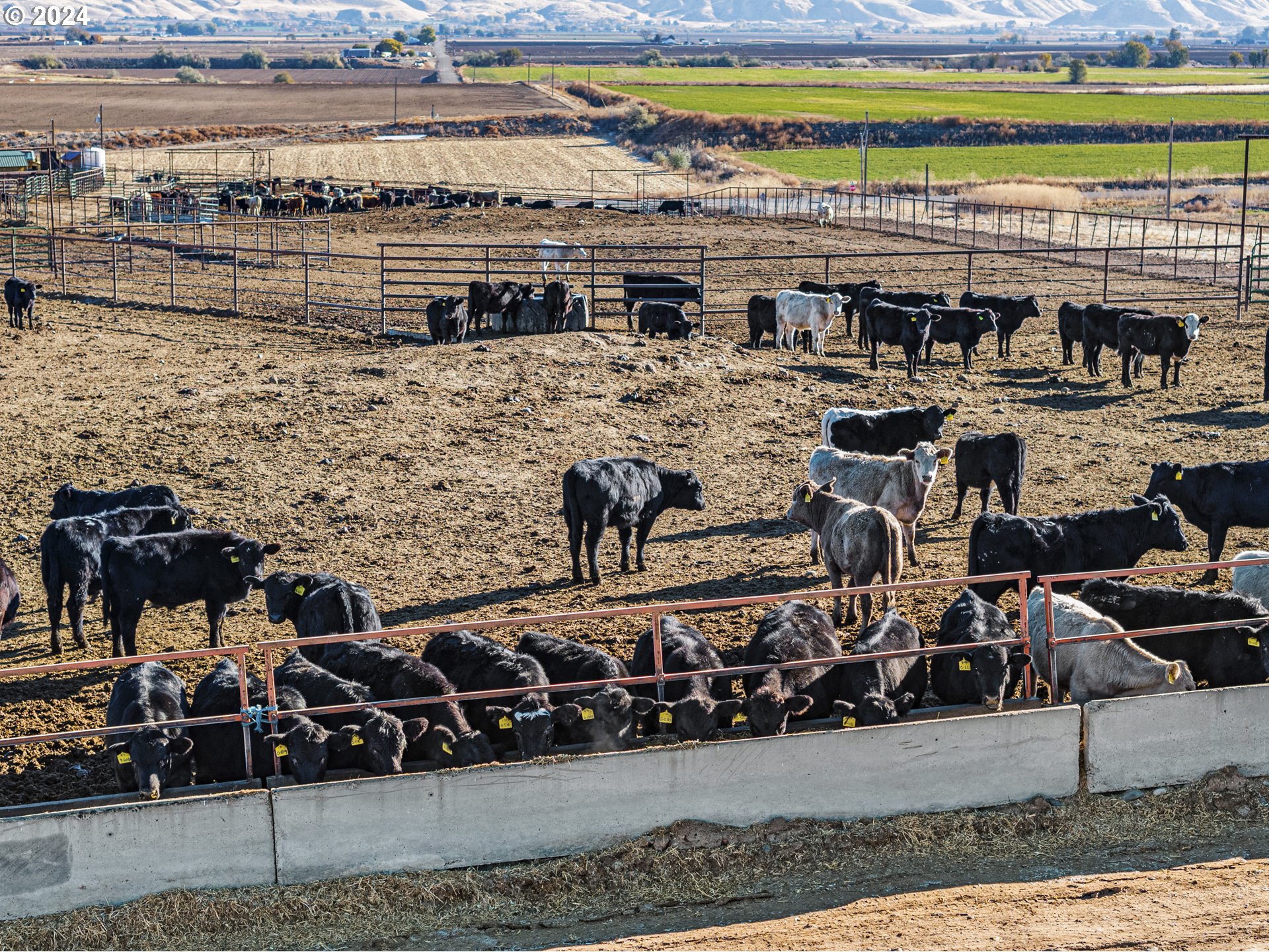 5109 Hyline Road Ontario, OR 97914 - Photo 39 of 48