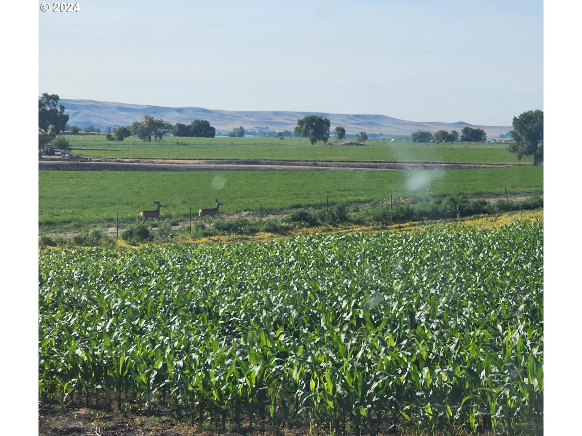 5109 Hyline Road Ontario, OR 97914 - Photo 46 of 48