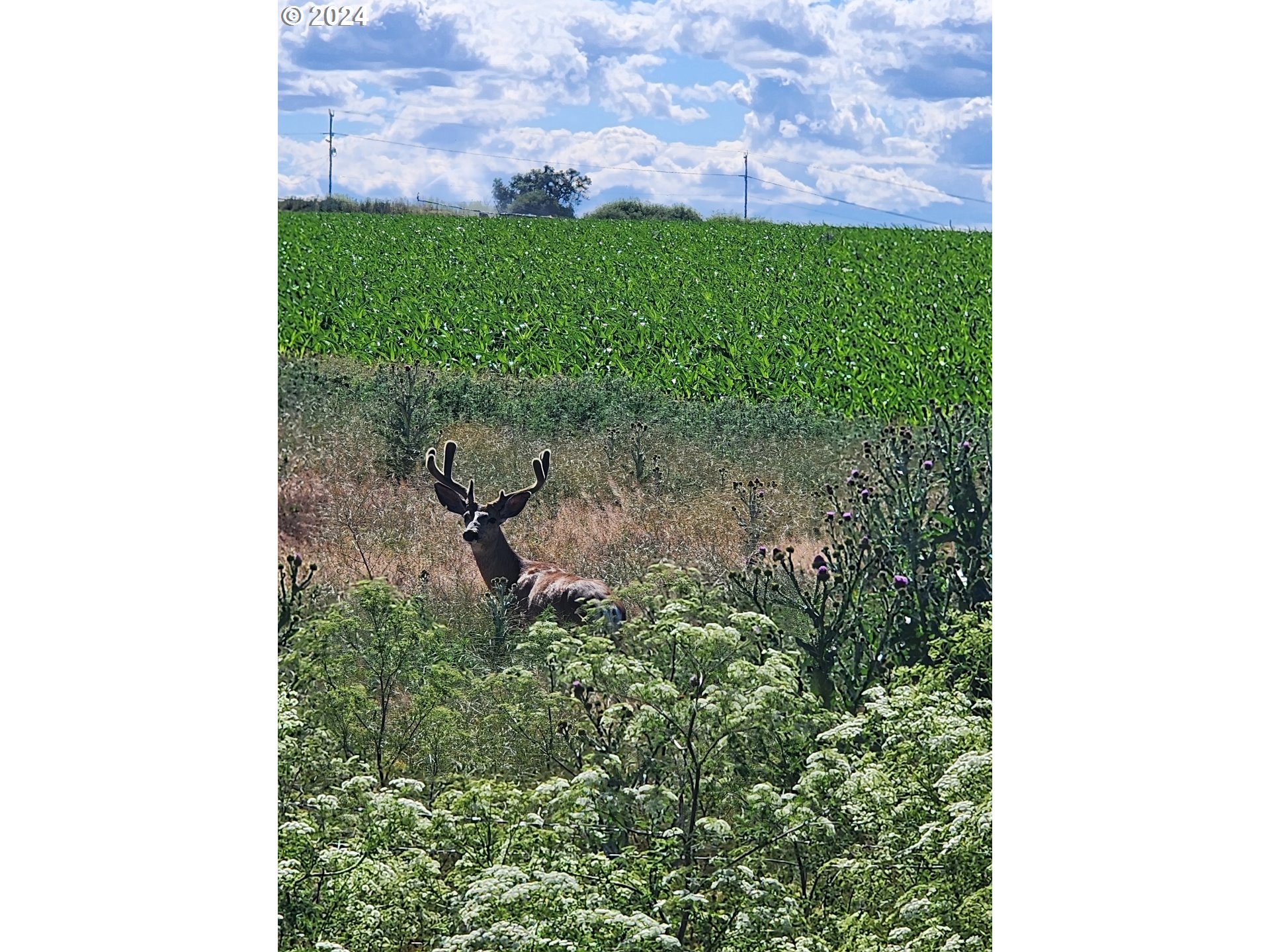 5109 Hyline Road Ontario, OR 97914 - Photo 47 of 48
