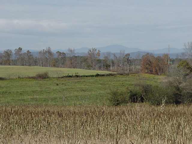 0 Return Church Road, Unit TRACT 2 Seneca, SC 29678 - Photo 1 of 2 Gallery Image 1