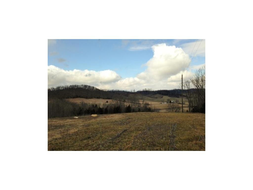 1680 Old Milburnton Road Limestone, TN 37681 - Photo 3 of 4 Photo 3