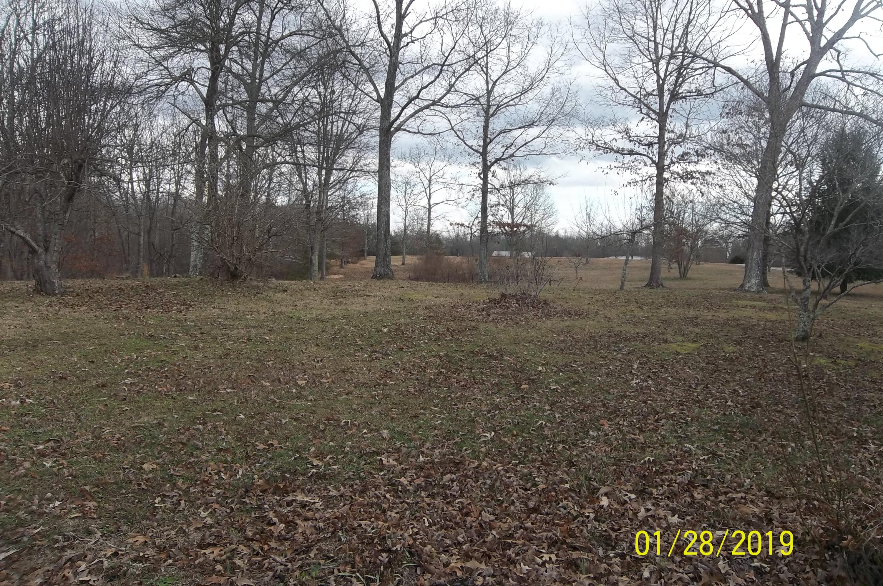 607 Christenson Road Deer Lodge, TN 37726 - Photo 4 of 38 100_1979
