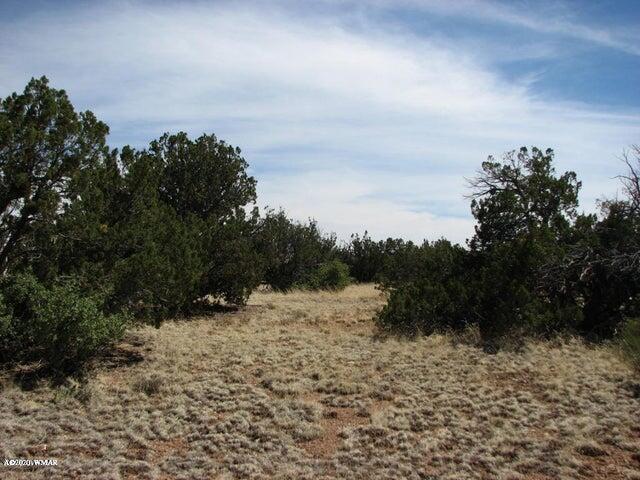 29 T14n R17e: Parcel 6 Creek Heber, AZ 85928 - Photo 6 of 7