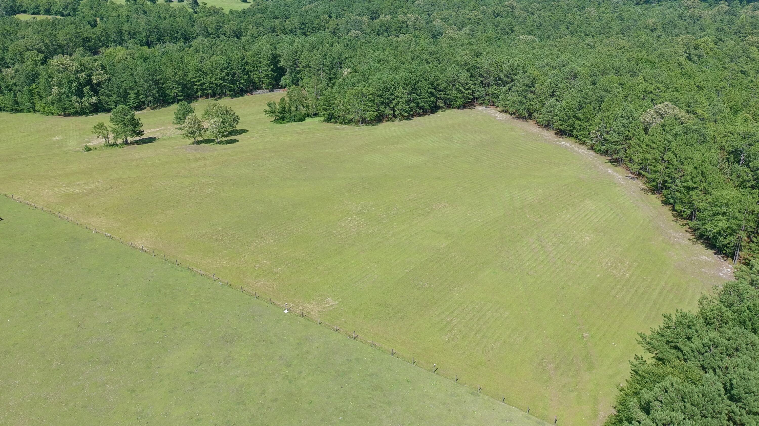 41-acres Whiskey Road Aiken, SC 29803 - Photo 12 of 44