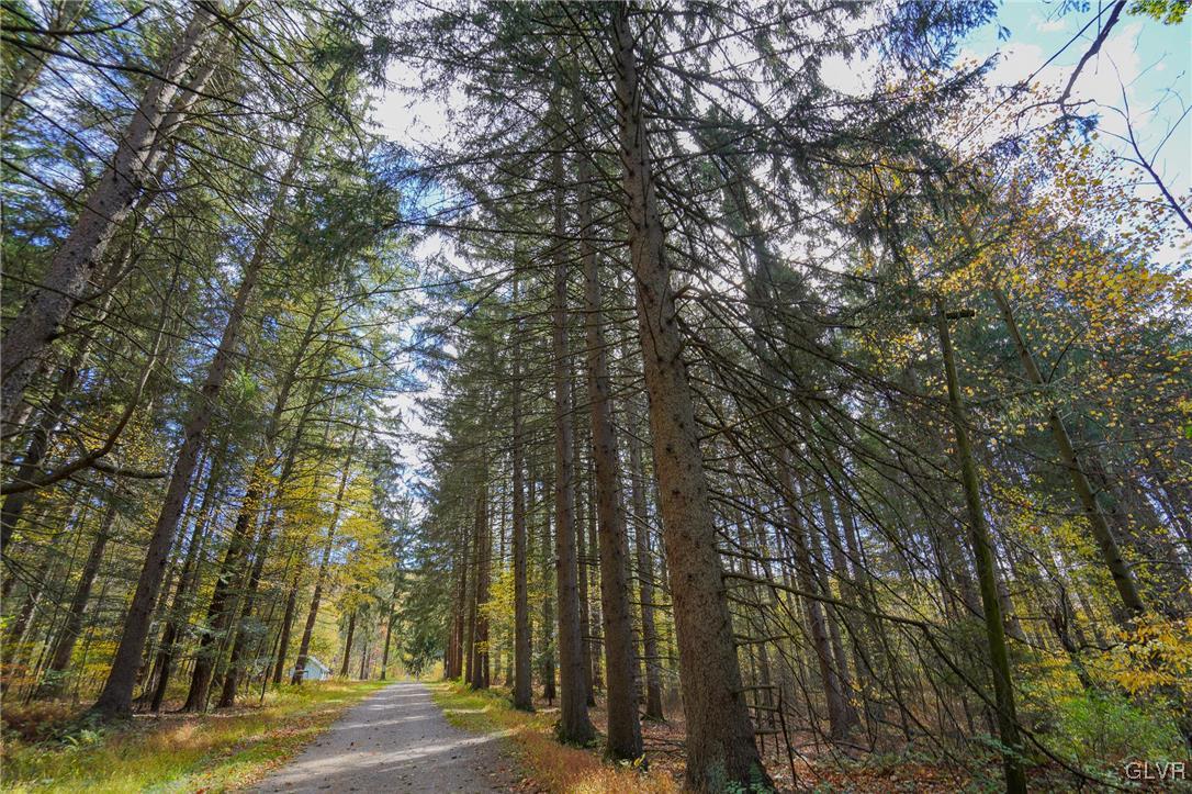 259 Owl Creek Road Tamaqua, PA 18252 - Photo 43 of 50