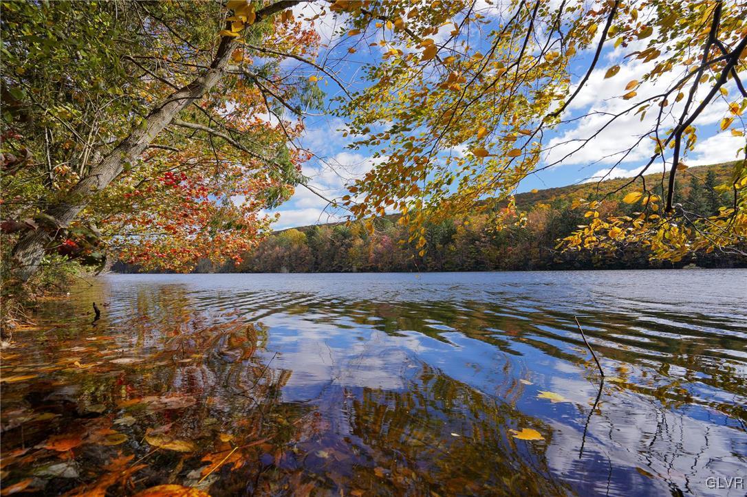 259 Owl Creek Road Tamaqua, PA 18252 - Photo 45 of 50 a view of a yard with an outdoor space