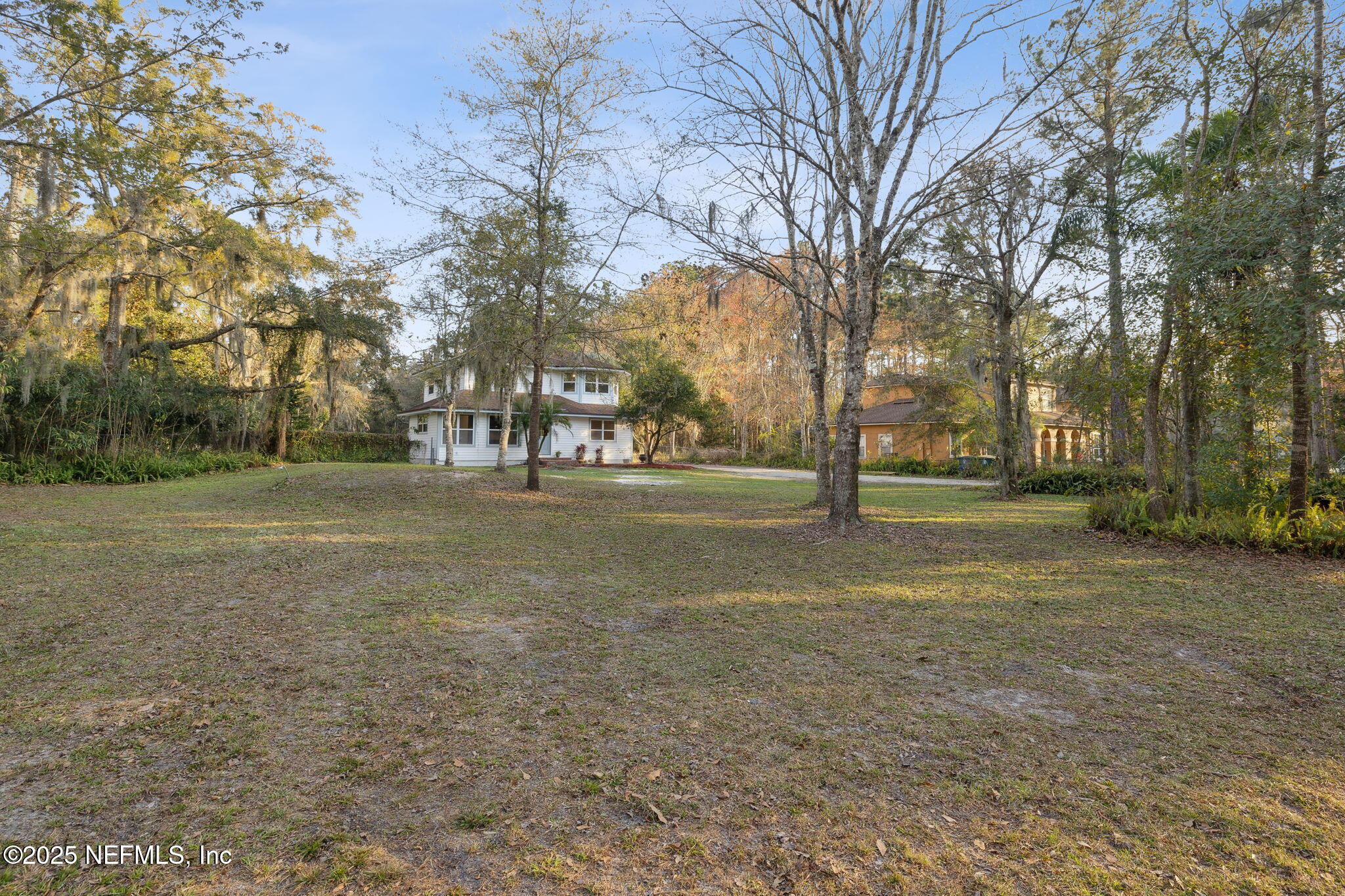 1904 Orange Picker Road Jacksonville, FL 32223 - Photo 8 of 61 Front yard
