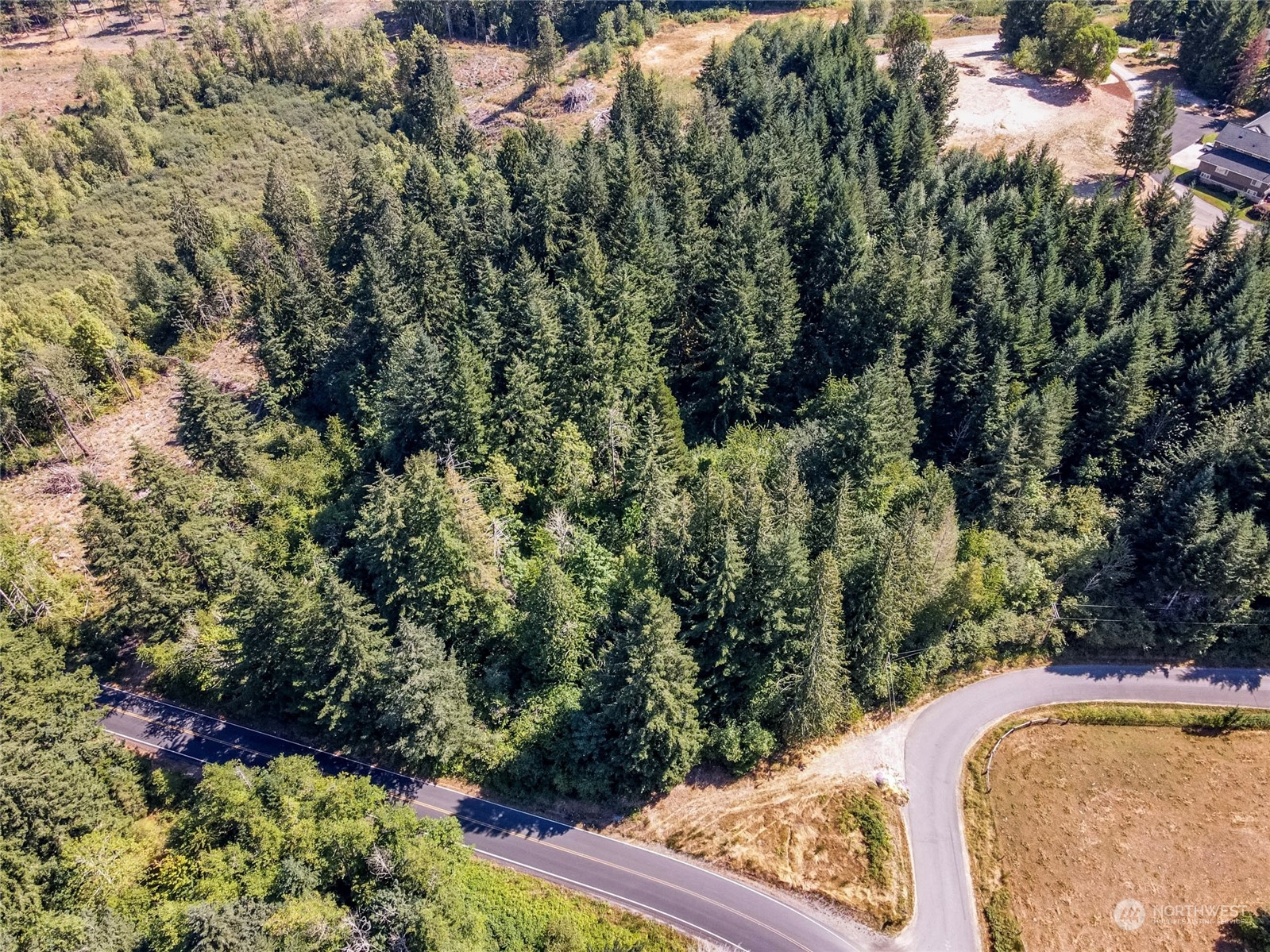 0 Vail Loop Road Southeast Rainier, WA 98576 - Photo 2 of 9 Gallery Image 2