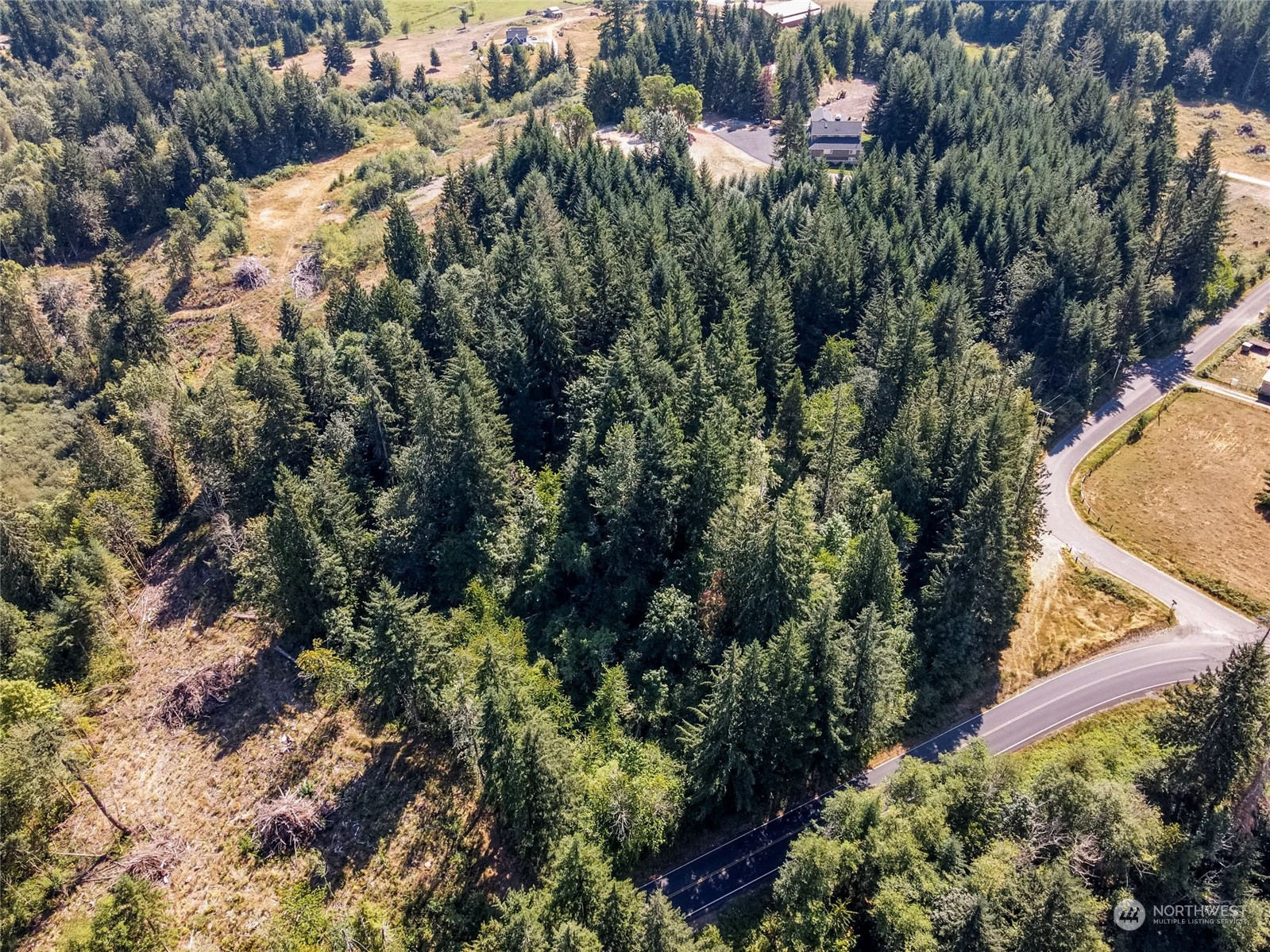 0 Vail Loop Road Southeast Rainier, WA 98576 - Photo 3 of 9 Gallery Image 3