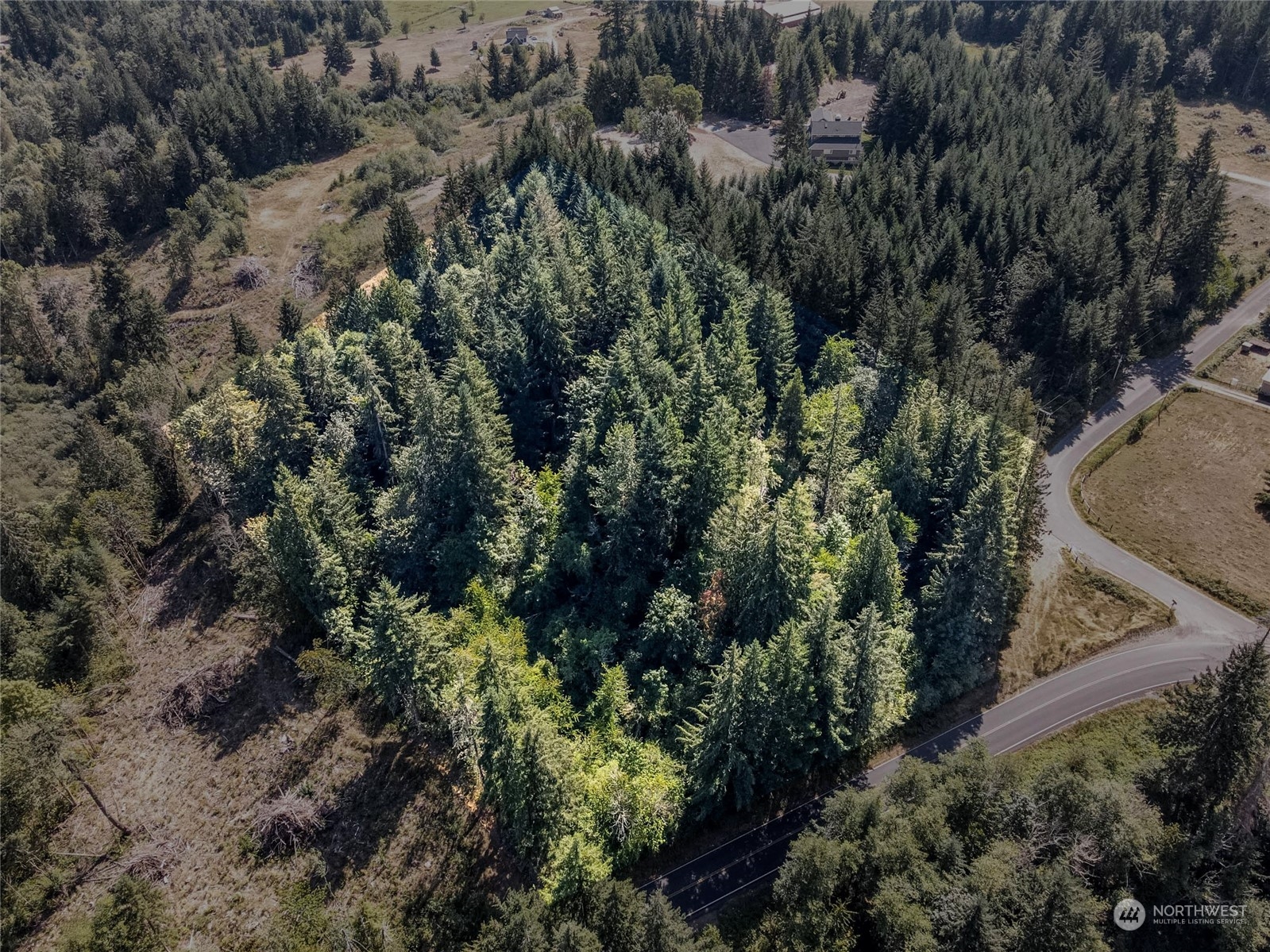 0 Vail Loop Road Southeast Rainier, WA 98576 - Photo 4 of 9 Gallery Image 4