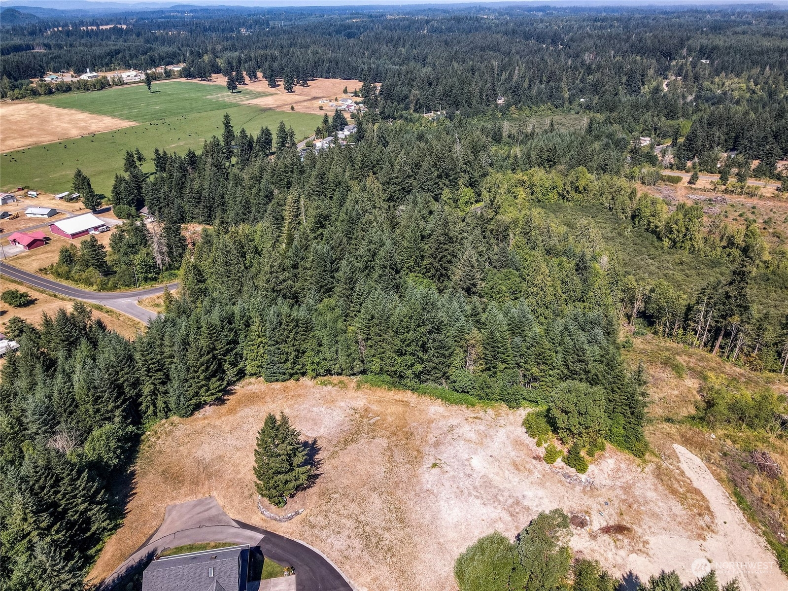 0 Vail Loop Road Southeast Rainier, WA 98576 - Photo 8 of 9 Gallery Image 8