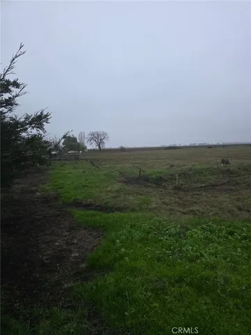 a view of a field with an ocean
