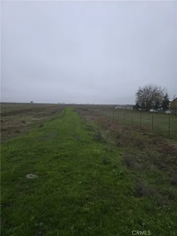 a view of a field with trees in background