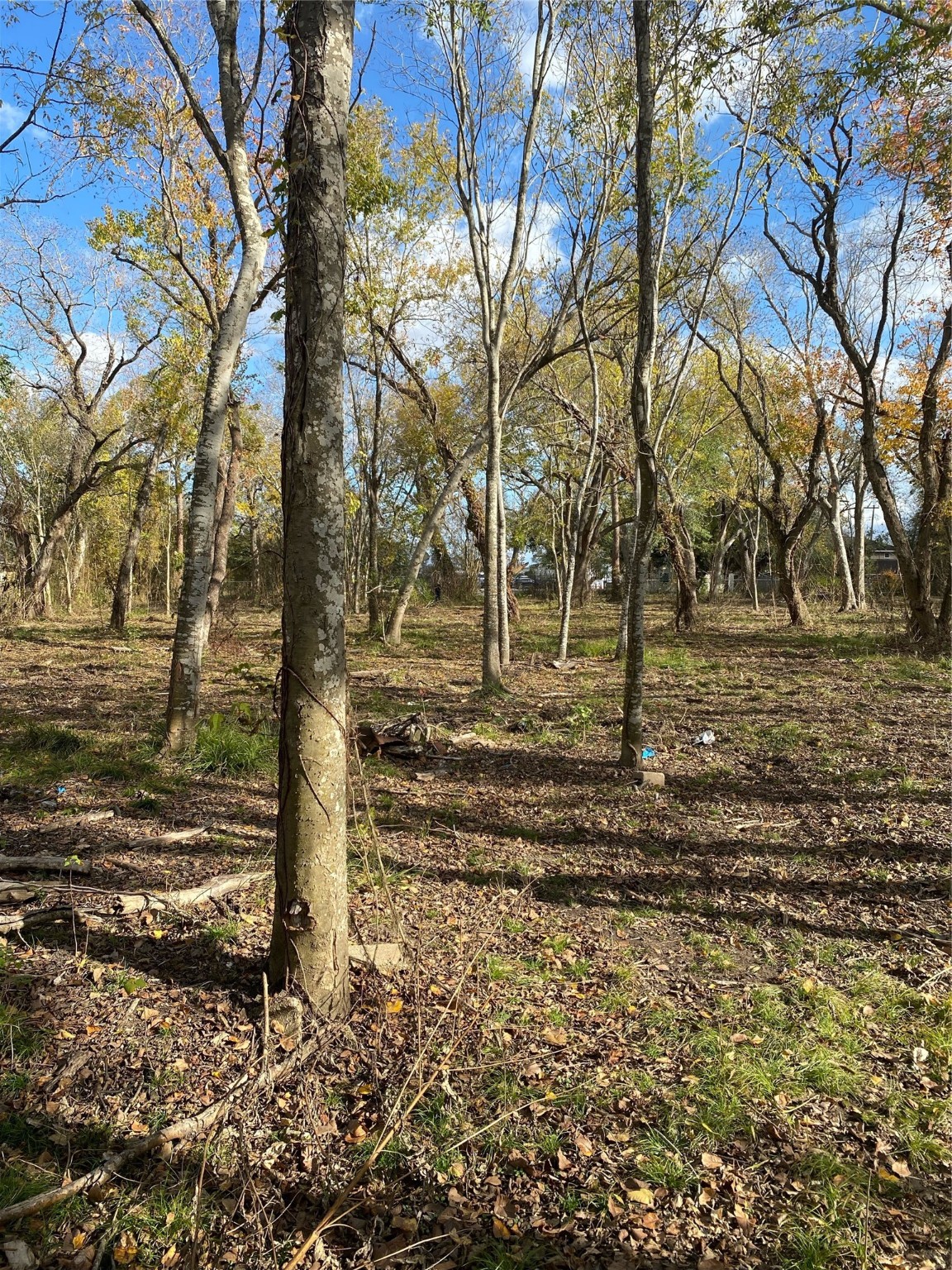 13700 Almeda School Road Houston, TX 77047 - Photo 2 of 3