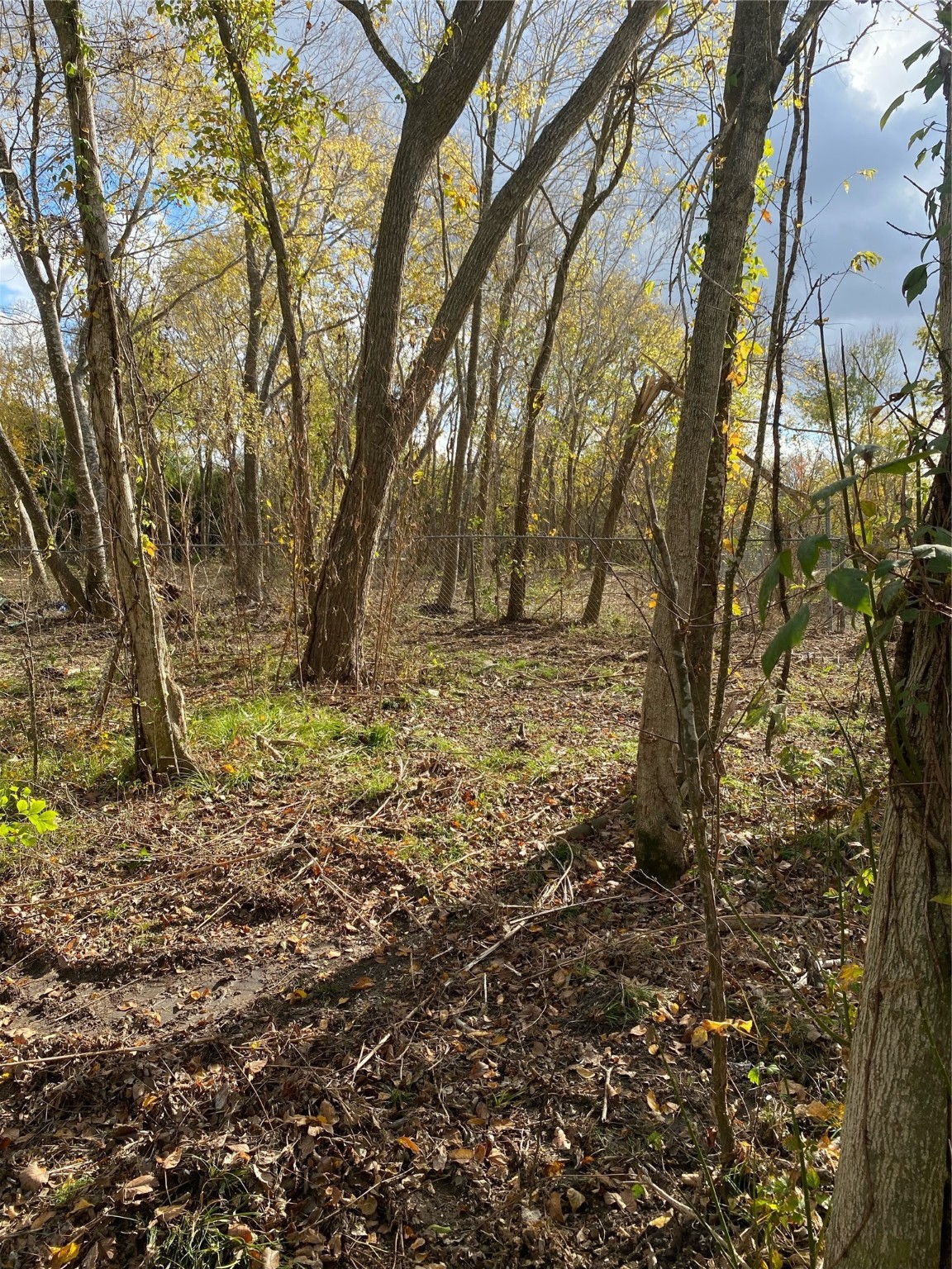 13700 Almeda School Road Houston, TX 77047 - Photo 3 of 3