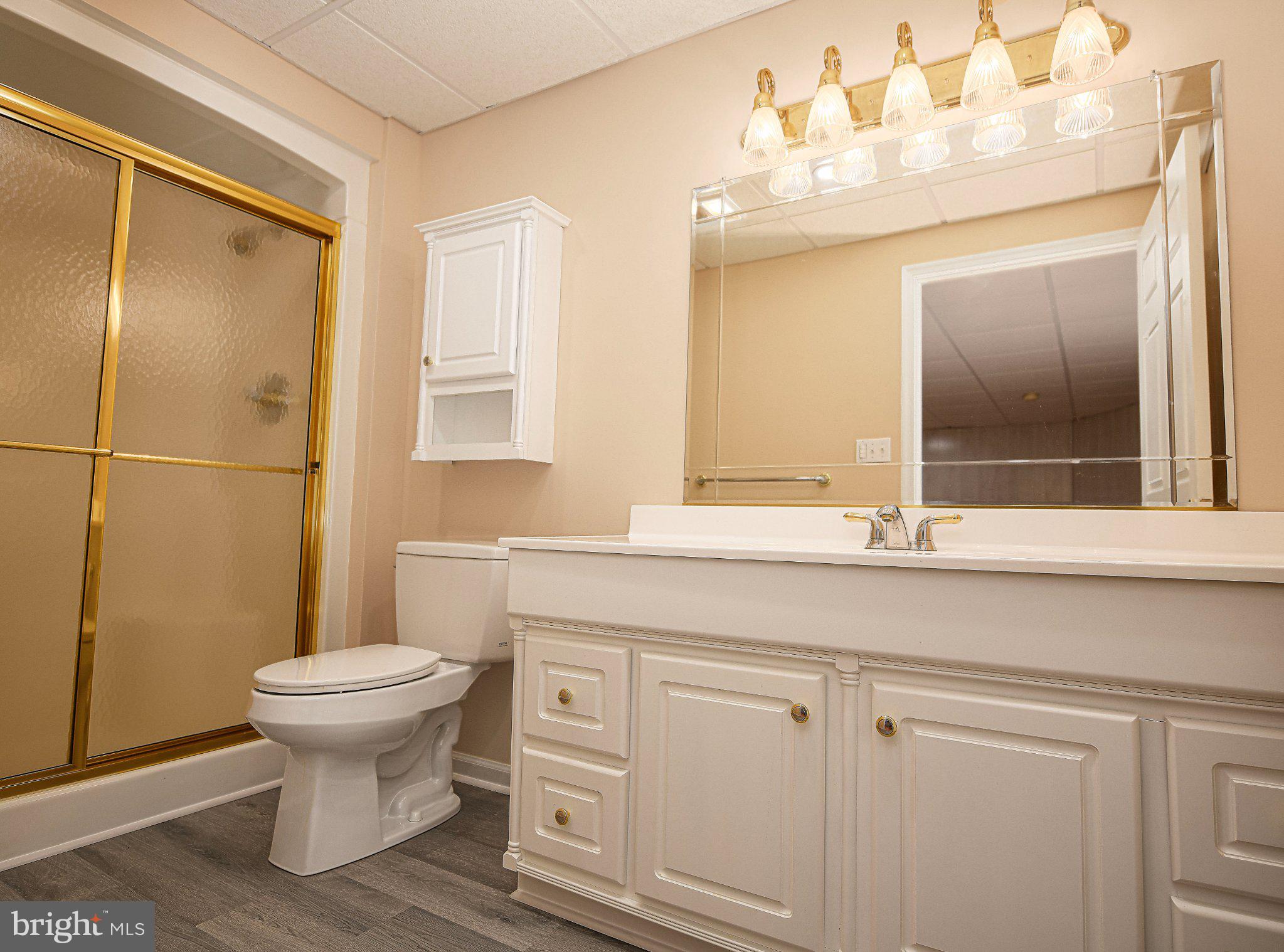 14300 Carroll Ridge Court Baldwin, MD 21013 - Photo 39 of 73 a bathroom with a toilet sink and mirror