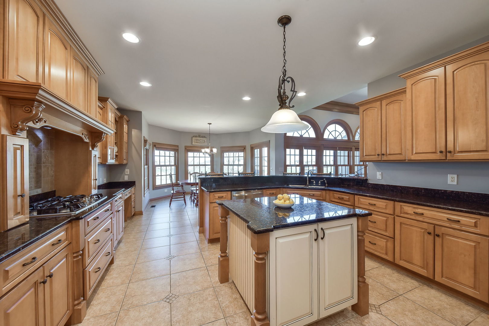 1737 Hunters Ridge Lane Sugar Grove, IL 60554 - Photo 16 of 50 a kitchen that has a sink a stove and a wooden floor