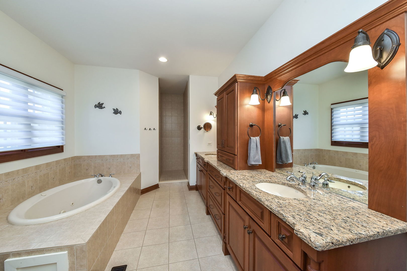 1737 Hunters Ridge Lane Sugar Grove, IL 60554 - Photo 20 of 50 a spacious bathroom with a granite countertop tub sink and mirror