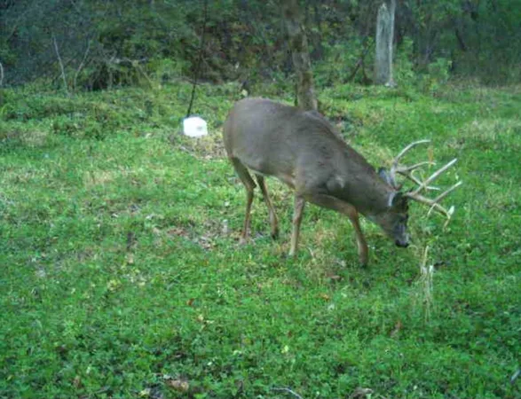 $1,750,000 | W10415 521st Avenue, Prescott, WI 54021