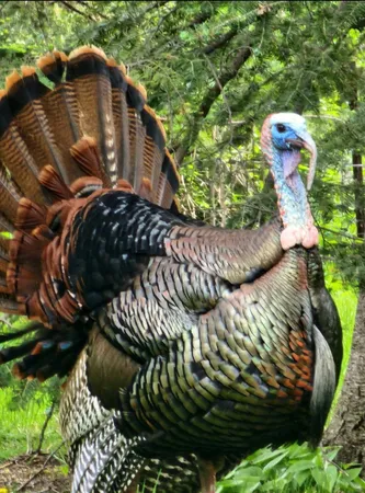 $1,750,000 | W10415 521st Avenue, Prescott, WI 54021