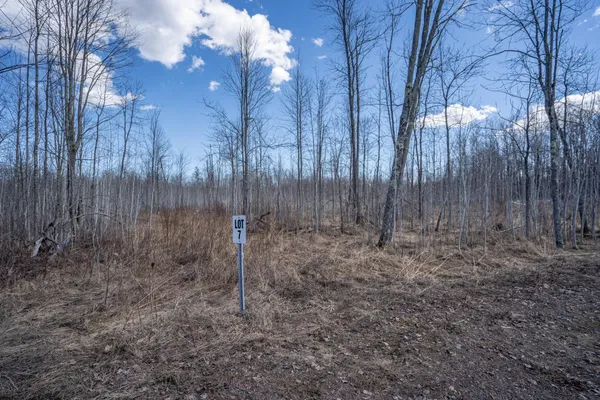 $84,000 | 60-xx 60-xx Rycor Lane, Duluth, MN 55811