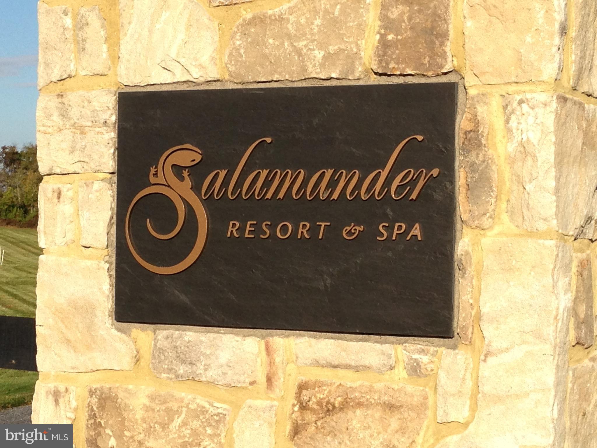 35771 Snake Hill Road Middleburg, VA 20117 - Photo 56 of 74 Go enjoy the Salamander Resort and Spa in town