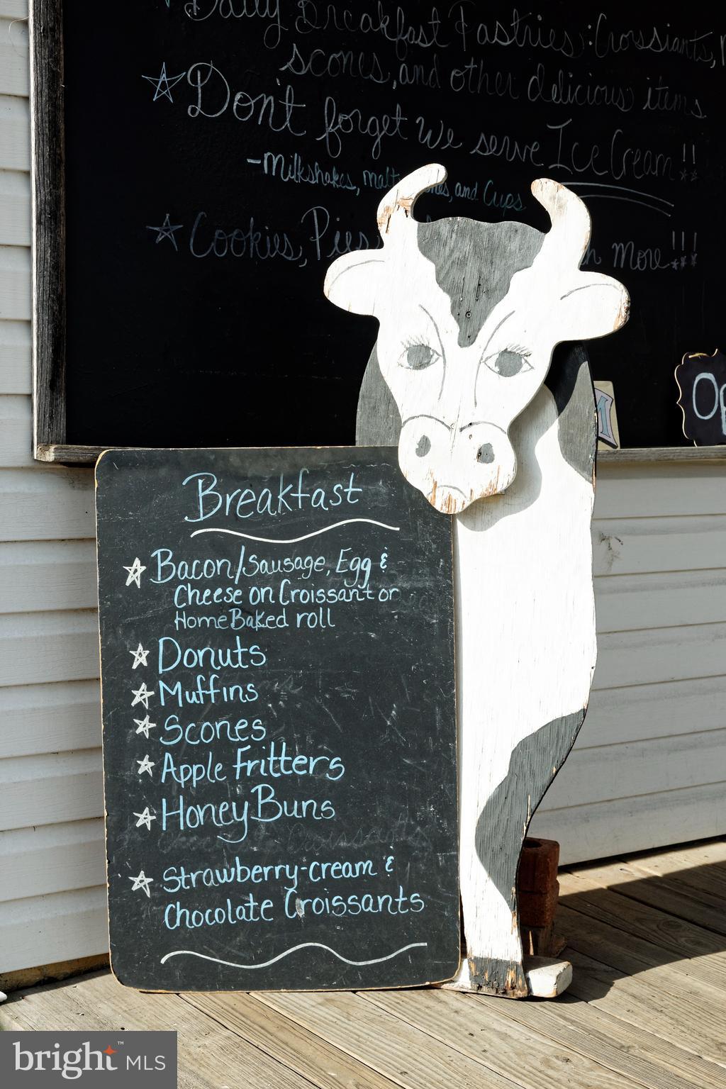 35771 Snake Hill Road Middleburg, VA 20117 - Photo 59 of 74