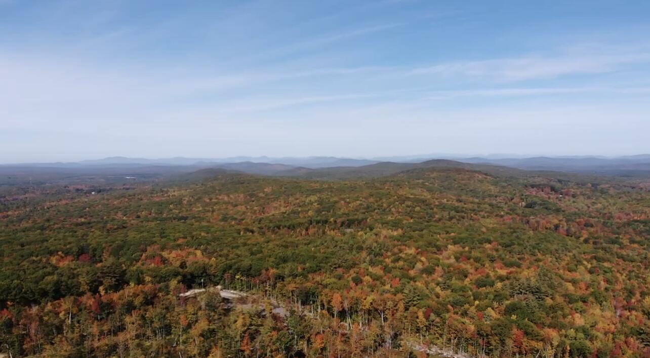 Lot 4 Gulf Road Shapleigh, ME 04076 - Photo 21 of 22 FB3CCBD9-48CF-4F33-BAAB-A020F9A55D58_1_2
