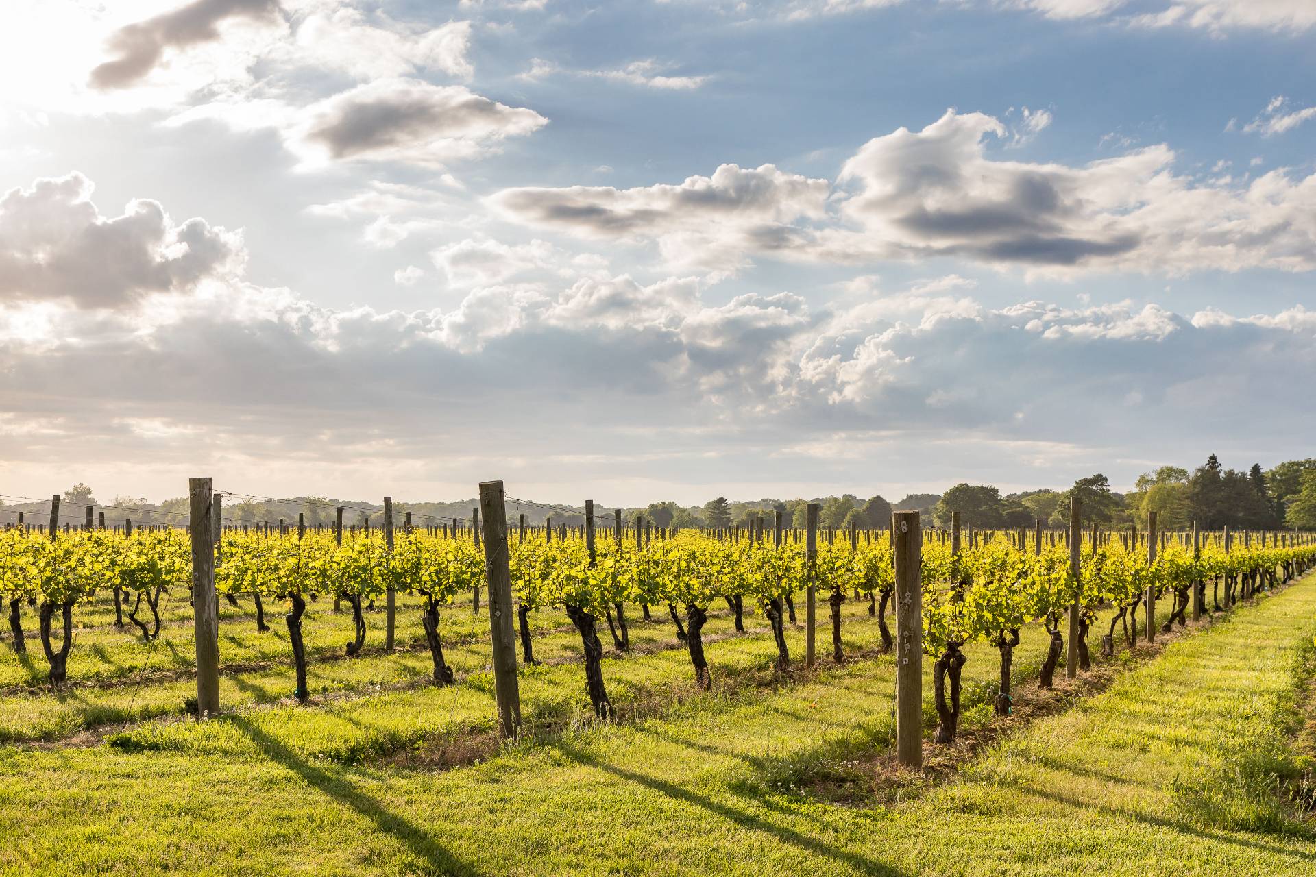 825 Old Sag Harbor Road Water Mill, NY 11976 - Photo 6 of 7 a view of an ocean