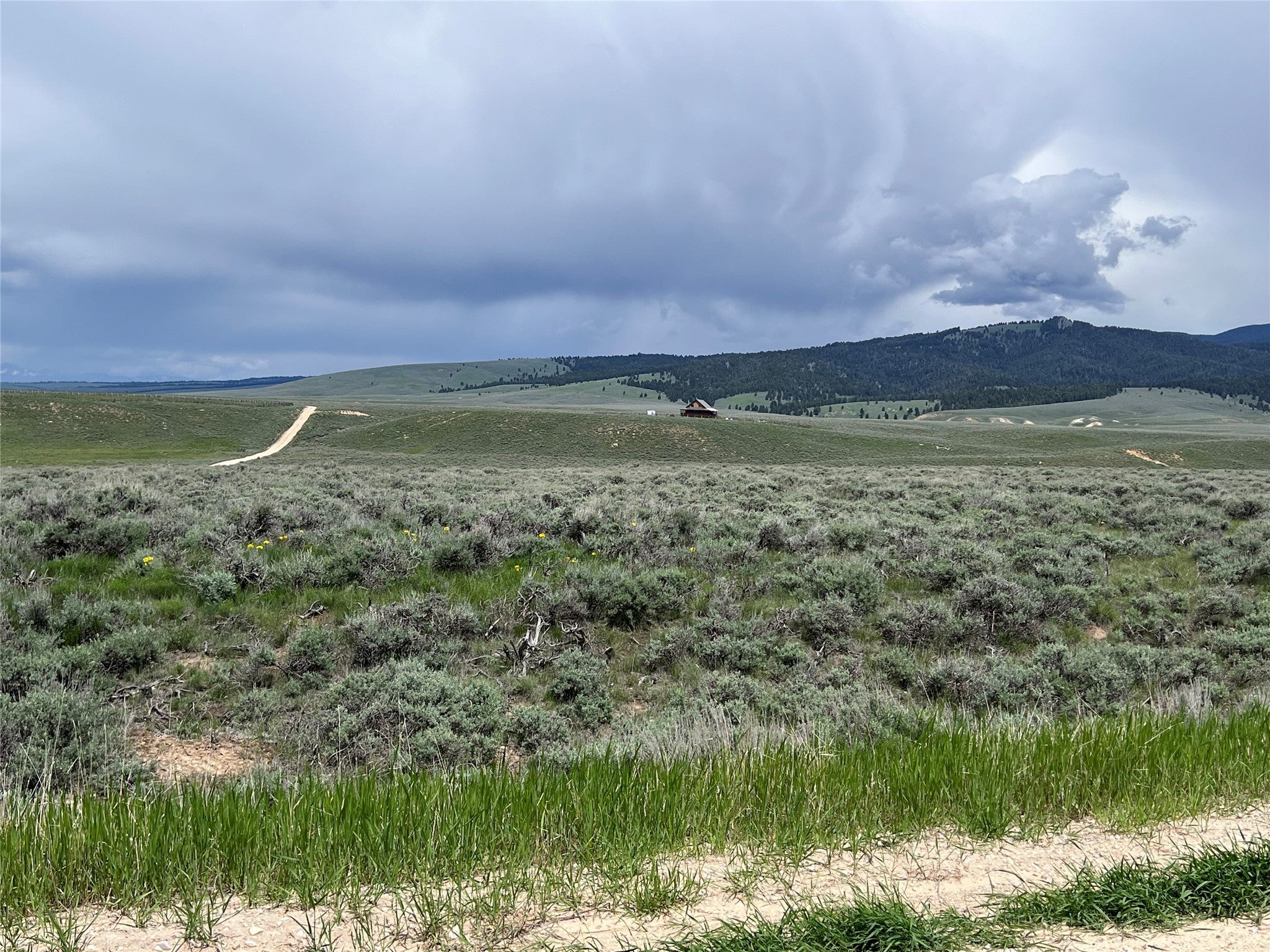 11 Steel Creek Road Wisdom, MT 59761 - Photo 8 of 11 Gallery Image 8