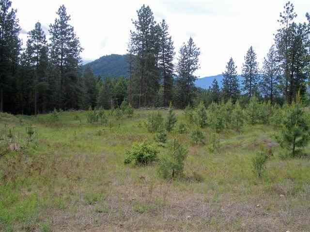Lot A Gillette Road Colville, WA 99114 - Photo 3 of 9