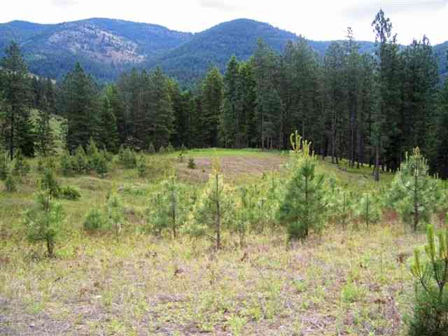 Lot A Gillette Road Colville, WA 99114 - Photo 4 of 9